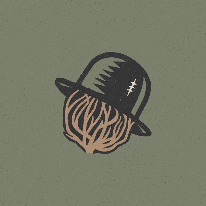Zac Brown Band Icons